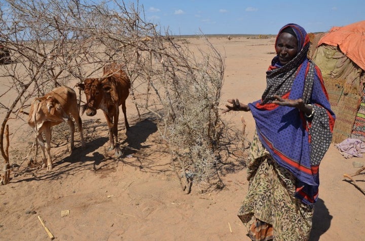 <p>Farmers in Ethiopia and other drought affected nations need food assistance to survive.</p>