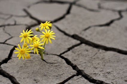 <p>A little optimism is a powerful thing</p>