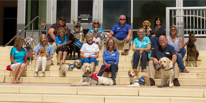 Therapy Dogs Help Kids With Trauma Feel Calm Enough To Tell Their ...