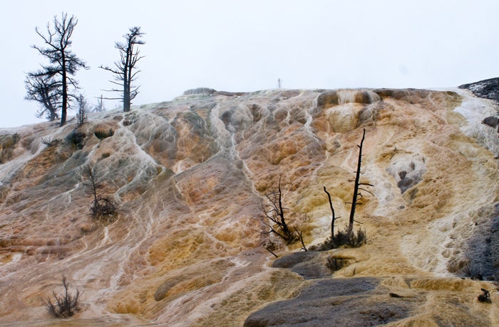 <p><a href="http://nationalparksimages.org/yell/" target="_blank" role="link" rel="nofollow" class=" js-entry-link cet-external-link" data-vars-item-name="Yellowstone National Park" data-vars-item-type="text" data-vars-unit-name="58f9185ae4b0f02c3870e815" data-vars-unit-type="buzz_body" data-vars-target-content-id="http://nationalparksimages.org/yell/" data-vars-target-content-type="url" data-vars-type="web_external_link" data-vars-subunit-name="article_body" data-vars-subunit-type="component" data-vars-position-in-subunit="6">Yellowstone National Park</a>, Idaho/Montana/Wyoming (4,257,177 visitors)</p>
