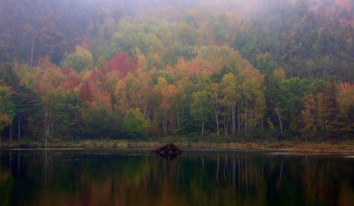 <p><a href="http://nationalparksimages.org/acad/" target="_blank" role="link" rel="nofollow" class=" js-entry-link cet-external-link" data-vars-item-name="Acadia National Park" data-vars-item-type="text" data-vars-unit-name="58f9185ae4b0f02c3870e815" data-vars-unit-type="buzz_body" data-vars-target-content-id="http://nationalparksimages.org/acad/" data-vars-target-content-type="url" data-vars-type="web_external_link" data-vars-subunit-name="article_body" data-vars-subunit-type="component" data-vars-position-in-subunit="8">Acadia National Park</a>, Maine (3,303,393 visitors)</p>