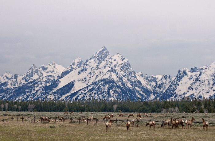 <p><a href="http://nationalparksimages.org/grte/" target="_blank" role="link" rel="nofollow" class=" js-entry-link cet-external-link" data-vars-item-name="Grand Teton National Park" data-vars-item-type="text" data-vars-unit-name="58f9185ae4b0f02c3870e815" data-vars-unit-type="buzz_body" data-vars-target-content-id="http://nationalparksimages.org/grte/" data-vars-target-content-type="url" data-vars-type="web_external_link" data-vars-subunit-name="article_body" data-vars-subunit-type="component" data-vars-position-in-subunit="9">Grand Teton National Park</a>, Wyoming (3,270,076 visitors)</p>
