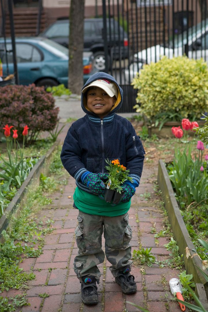 A young volunteer at Classon-Fulgate Block Association Garden in Brooklyn, NY. 