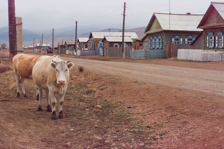 The village of Galtai, 1995