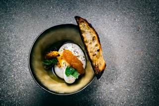 Burrata