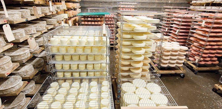 Cheeses aging in Vulto Creamery's cave.