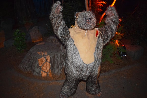 Star Wars Galactic Nights at Disney’s Hollywood Studios