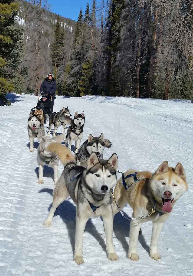 DogSledding