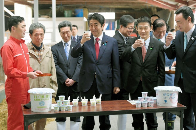 Japanese Prime Minister Shinzo Abe drinks milk during his visit to a cattle ranch that reopened after Fukushima nuclear crisis on Apr. 8. On the same day, Abe apologized over controversial remarks recently made by his disaster reconstruction minister, who said that the people who voluntarily evacuated from areas tainted by Fukushima nuclear disaster should take responsibility for their own decisions./ Source: Yonhap News