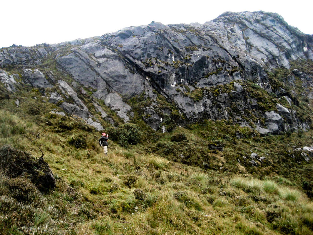 McIntyre pictured here exploring the very remote mountain landscape where New Guinea wild dogs are found.