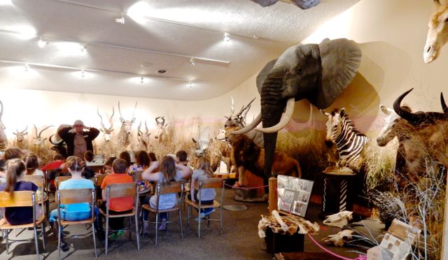 African Mammal Room at the Charles T. Brightbill Environmental Center, Mercersburg PA