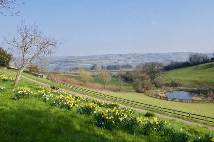 <p><em>The path leading to Grandma’s house in Blagdon, England.</em></p>
