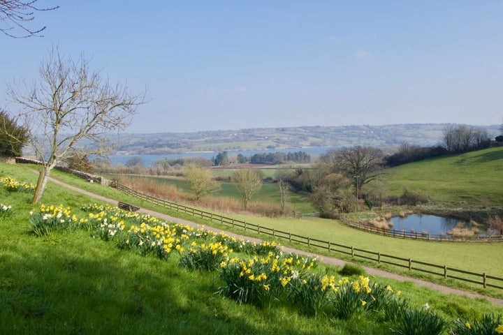 The path leading to Grandma’s house in Blagdon, England.