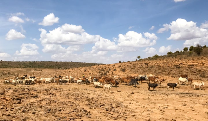 <p>Herders in Laikipia</p>