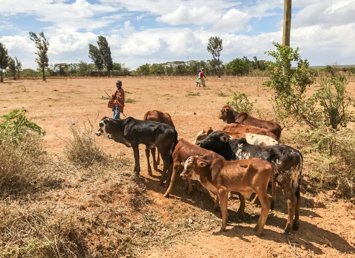 <p>Child herder in Laikipia</p>
