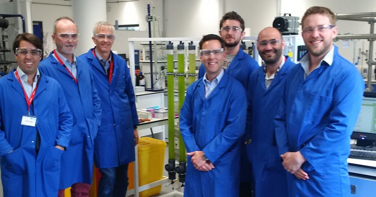 This Algae Eats CO2 From The Atmosphere | HuffPost Contributor