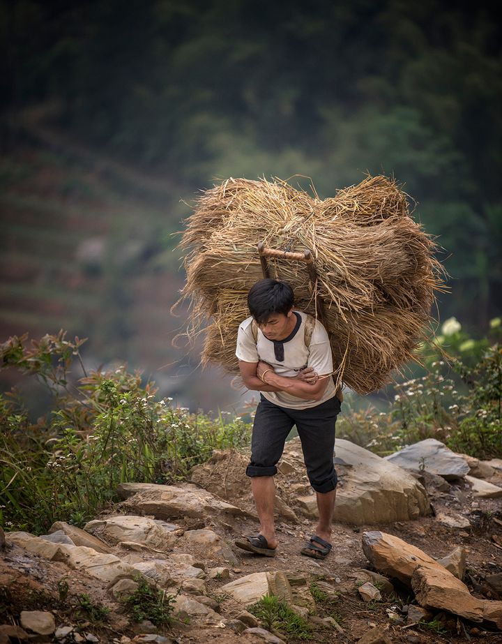 This man is a member of the Hmong ethnic group. He is carrying a heavy load up a mountain . 