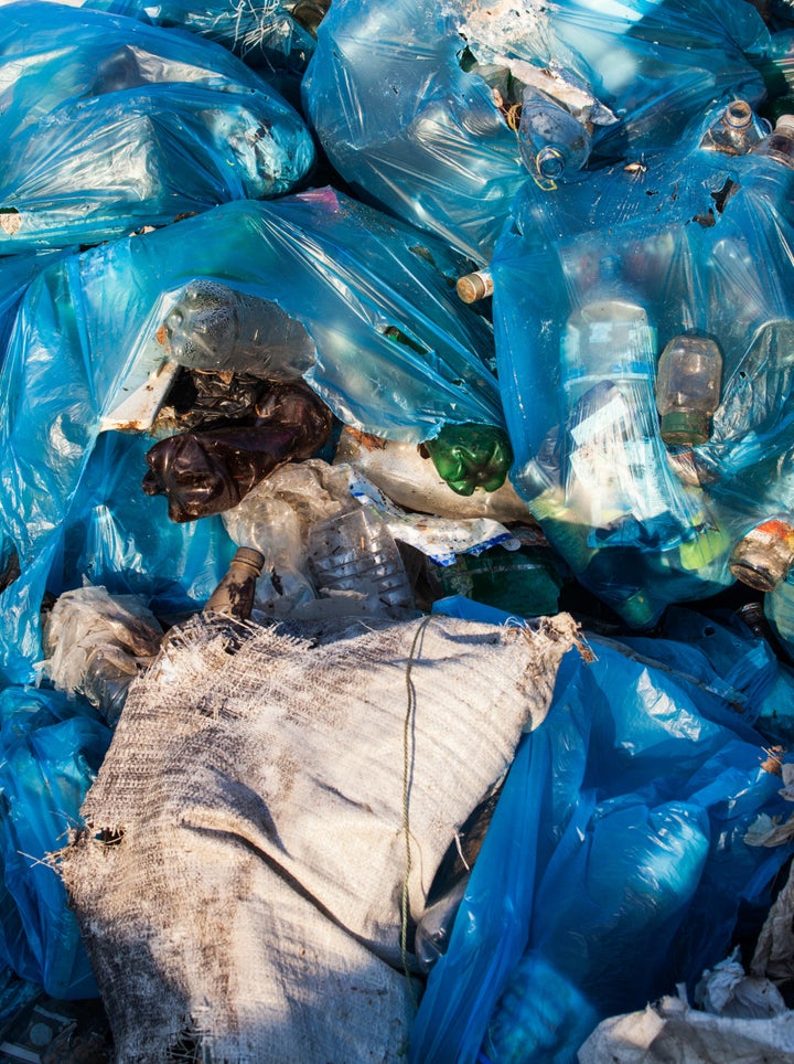 Researchers hope to find a new way to biodegrade plastic bags by using these worms.