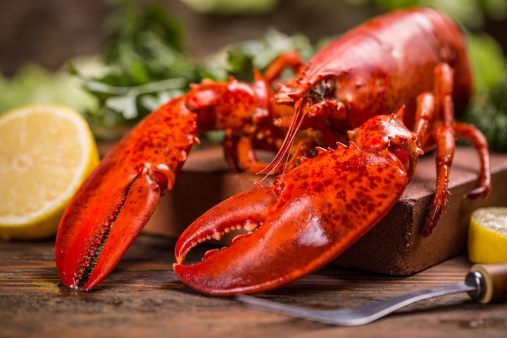 The brewery boiled 30 live lobsters to produce the beer.