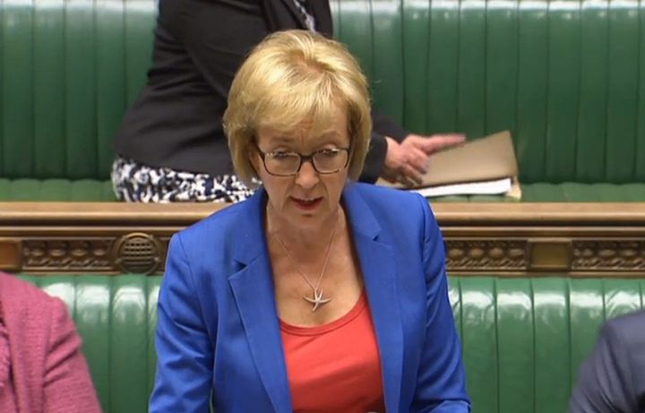 Environment Secretary Andrea Leadsom speaks in the House of Commons, London, where she told MPs that it was "not appropriate" to publish plans to tackle air pollution during the pre-election period and pledged to unveil the draft proposals on June 30.
