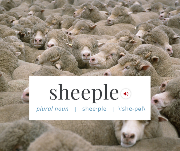 Sheeple' Has Been Added To The Dictionary | HuffPost Entertainment