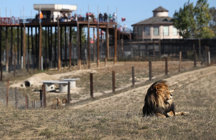 The Wild Animal Sanctuary in Kennsburg, Colorado, said it would have taken in the animals if asked.