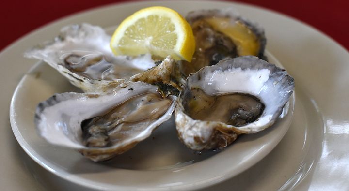 Substainably grown Lady’s Island Oysters can be found at Beaufort area restaurants and markets.