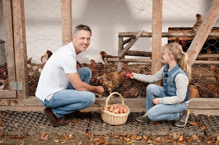 How To Teach Kids Where Their Food Comes From | HuffPost UK Parents