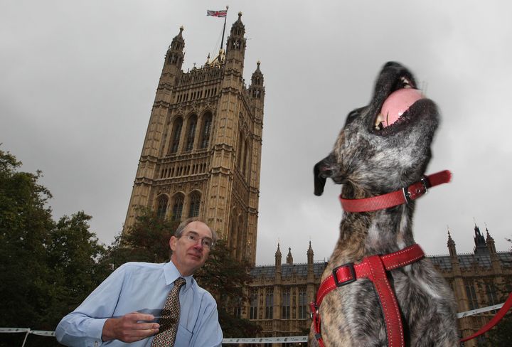Turner pictured at the Westminster Dog Of The Year competition in 2011