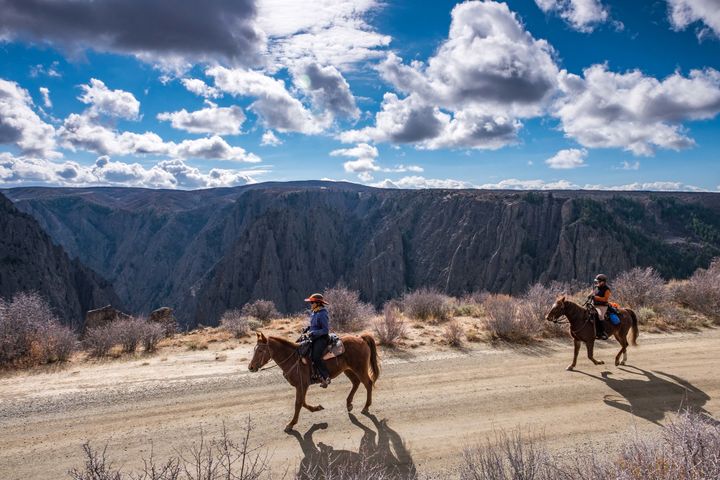 Equines take off for a rim ride to Deadhorse Trail