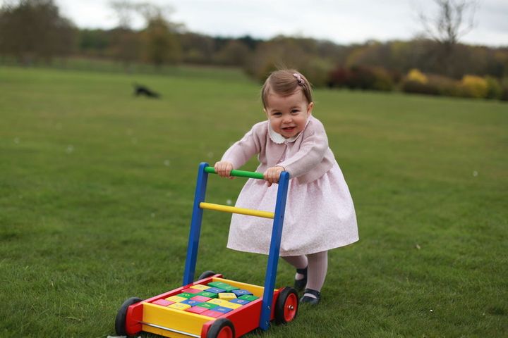 Princess Charlotte pictured at Anmer Hall ahead of her first birthday.