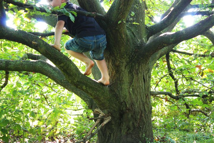 Why Our Kids Need To Get Outside More | HuffPost UK Parents
