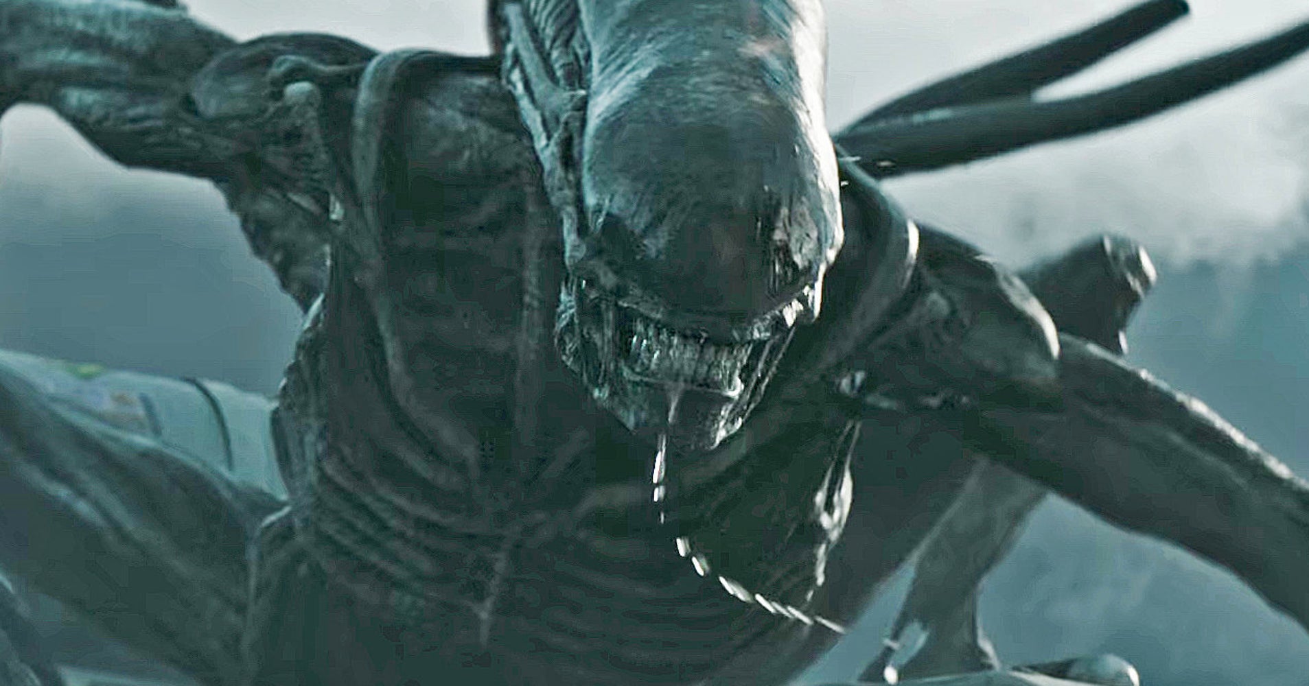 It is a alien. Чужой: изоляция. Ксеноморф xx121. Ксеноморф прайм планета. It is a alien.