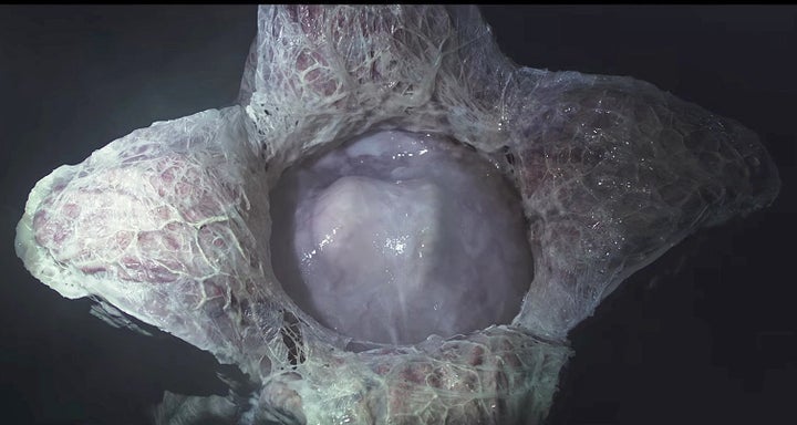 From "Alien: Covenant," an extraterrestrial is about to emerge from its comfortable pod to wreak havoc with the unlucky human visitors to its planet.