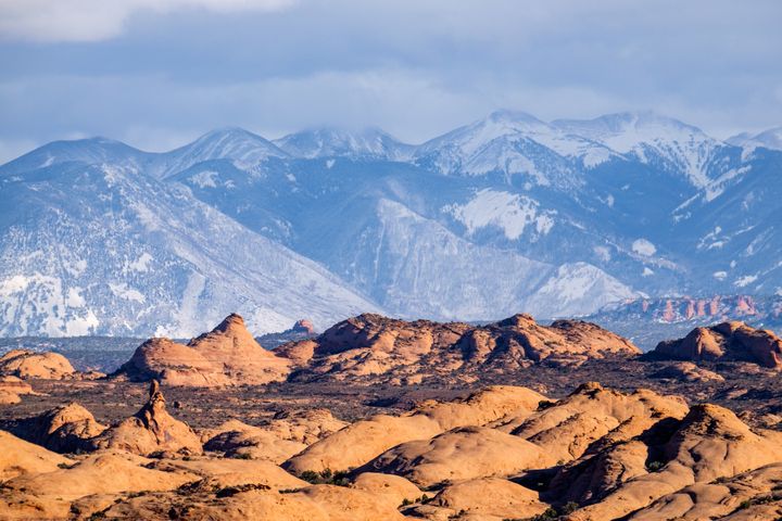 Petrified Dunes and the La Sal Mountains