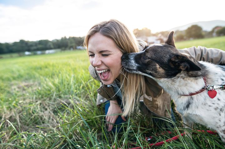 <p>Research shows that dogs can do more for us than just make us smile.</p>