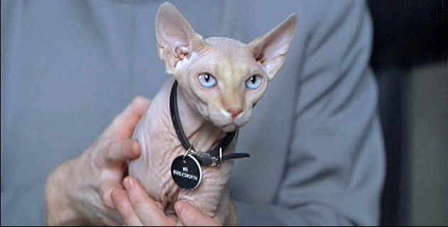 Purr.