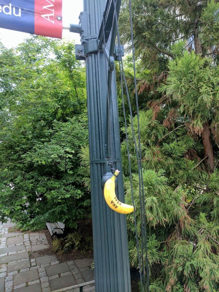 Photos of bananas hanging by nooses have been circulating online targeting targeted American University's chapter of Alpha Kappa Alpha Sorority.
