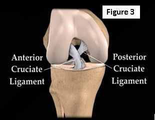 An Overview of Knee Injuries | HuffPost