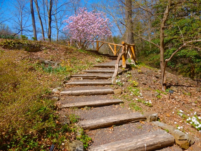 <p>Leonard J. Buck Garden, Far Hills, NJ</p>