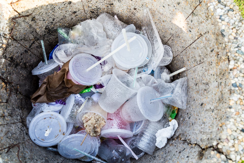 Reduce use of all plastic products, but especially single-use ones