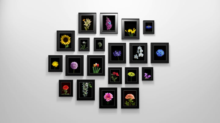 Dominic Harris, Bloomed, 2016, 20 flowers species, edition of 8 + 2AP + 2P, Blackened aluminum, custom electronics and software, industrial LCD screen, time of flight sensor, Large: 51 x 45 x 7 cm, Medium: 41 x 34 x 7 cm, Small: 34 x 29 x 7 cm. 