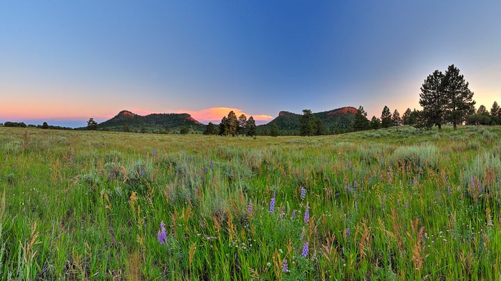 The area known as Bears Ears, near Blanding, Utah, was designated a national monument by President Barack Obama in December.