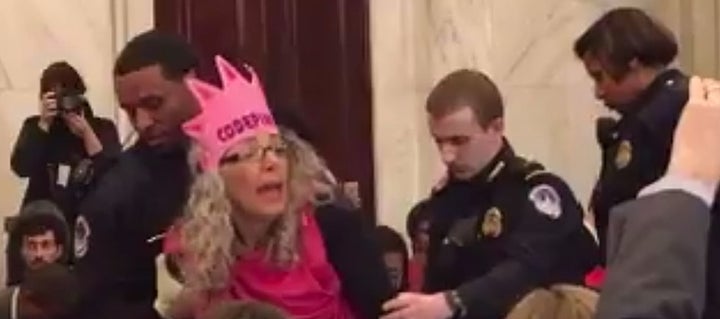 <p>Protestor Desiree Fairooz is forcibly removed from Senatel hearing for laughing</p>