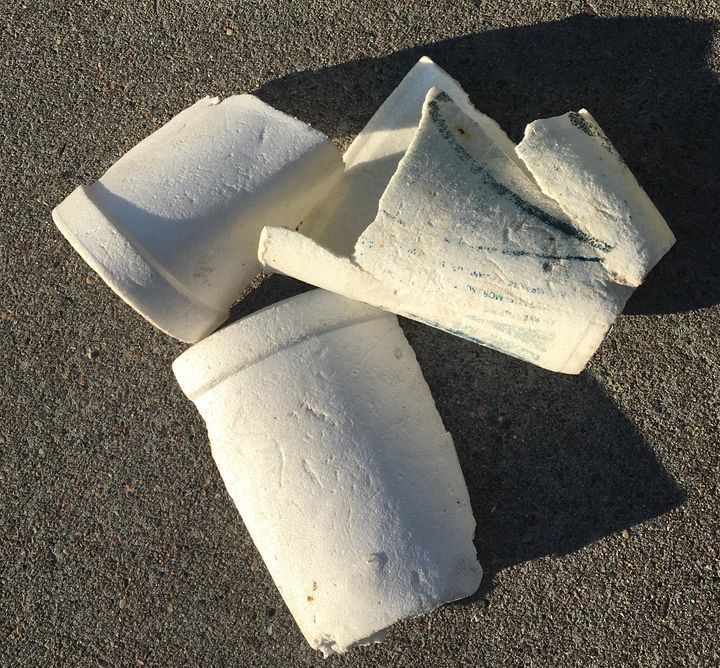 <p>Tattered expanded polystyrene foam cup litter collected at a NYC waterfront park. EPS food service containers are seen as harmful to the environment in part because they’re lightweight and brittle, making them especially prone to becoming windblown litter and difficult to clean up.</p>