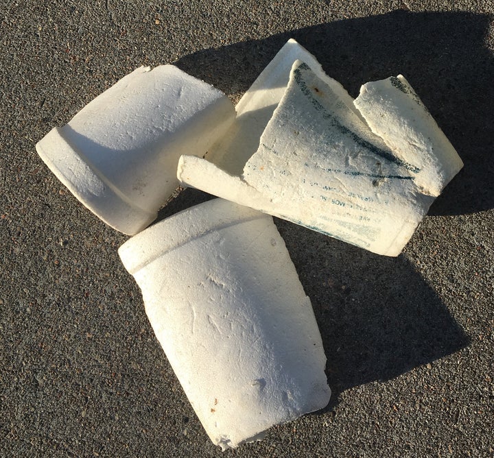 Tattered expanded polystyrene foam cup litter collected at a NYC waterfront park. EPS food service containers are seen as harmful to the environment in part because they’re lightweight and brittle, making them especially prone to becoming windblown litter and difficult to clean up.