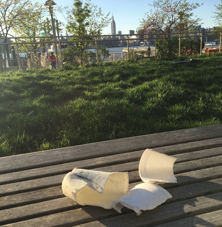 Tattered expanded polystyrene foam cup litter collected at a NYC waterfront park. EPS food service containers are seen as harmful to the environment in part because they’re lightweight and brittle, making them especially prone to becoming windblown litter and difficult to clean up. 