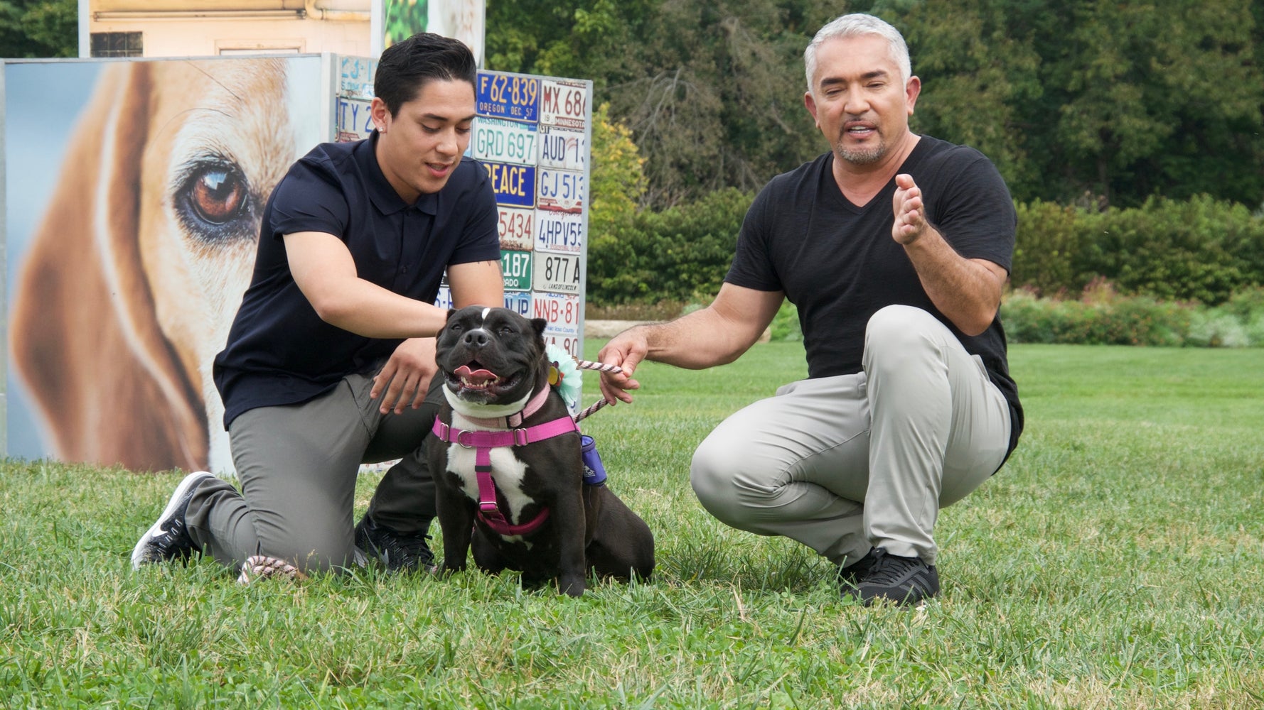 Cesar Millan - Walking with your dog is the single most