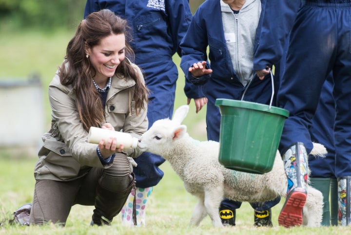 The Duchess of Cambridge feeds a lamb as she visits Farms for City Children on May 3, 2017 in Arlingham, Gloucestershire.