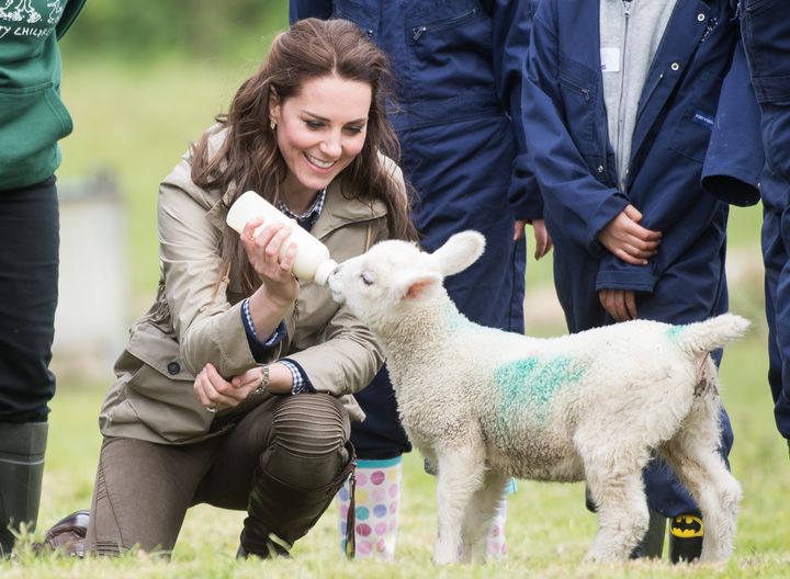 Kate Middleton And Her Lamb Bff Will Make Your Heart Squirm Huffpost